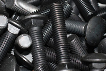 Carriage Bolts