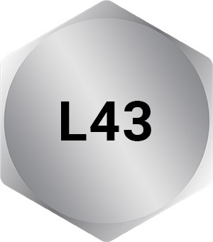 A320 Grade L43